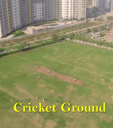 Cricket Ground